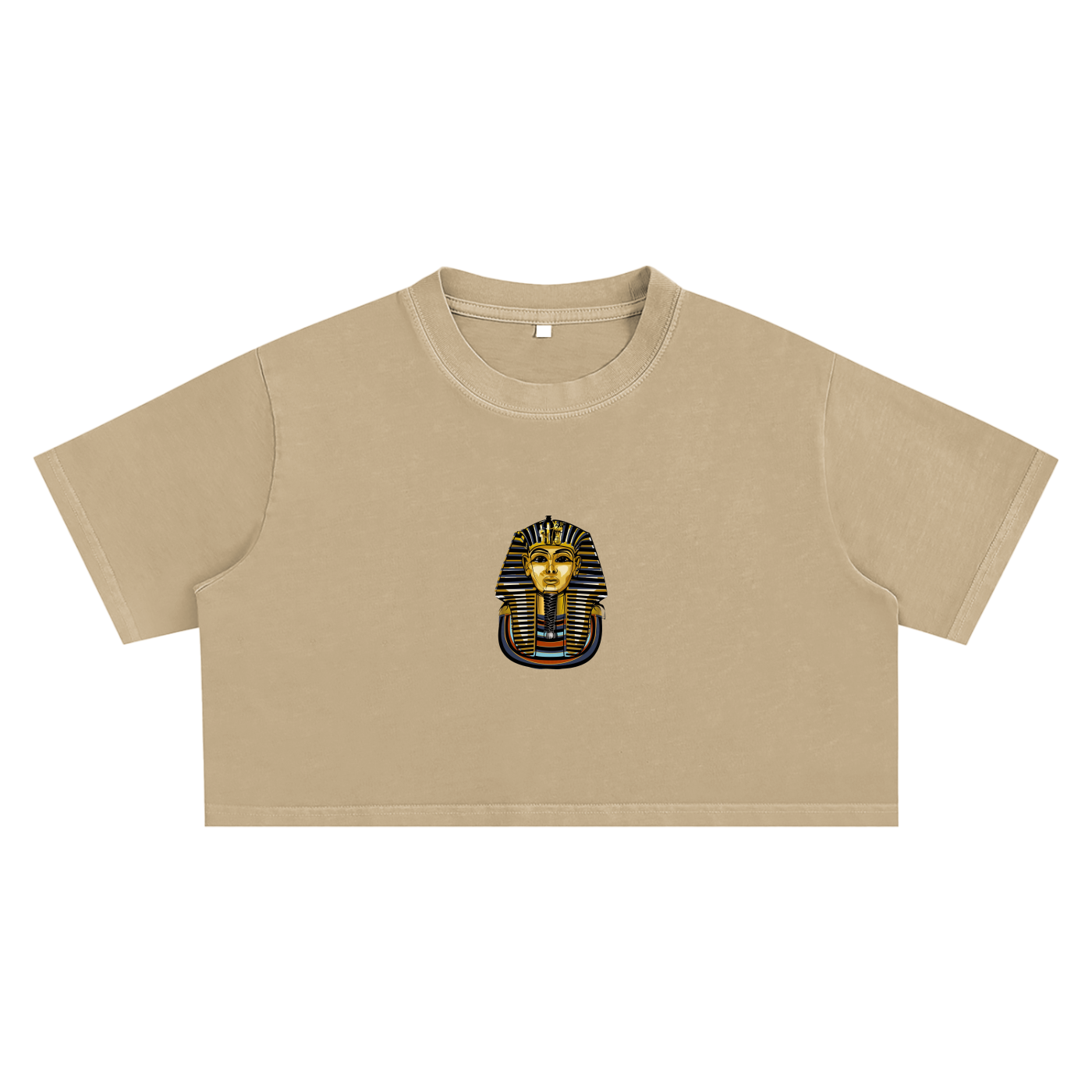 Snow Washed Pharaoh Crop Top