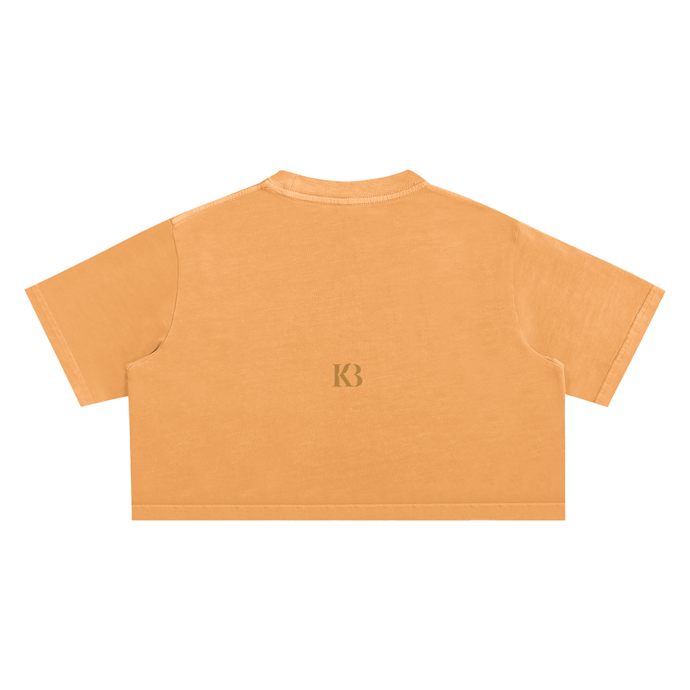 Snow Washed Pharaoh Crop Top