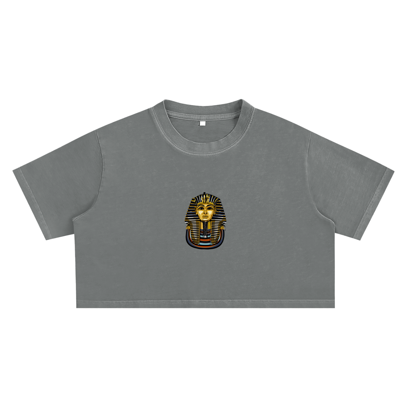 Snow Washed Pharaoh Crop Top