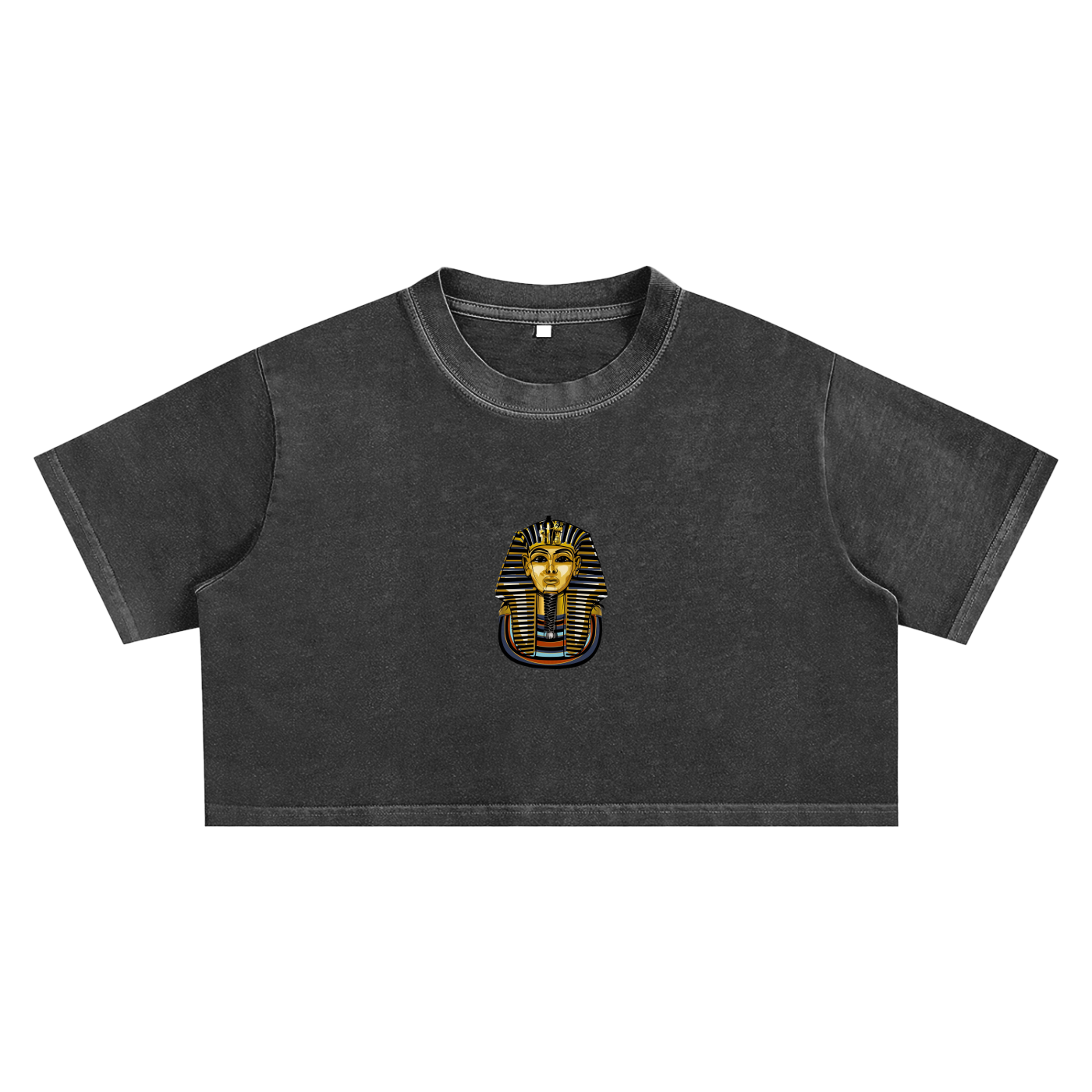 Snow Washed Pharaoh Crop Top